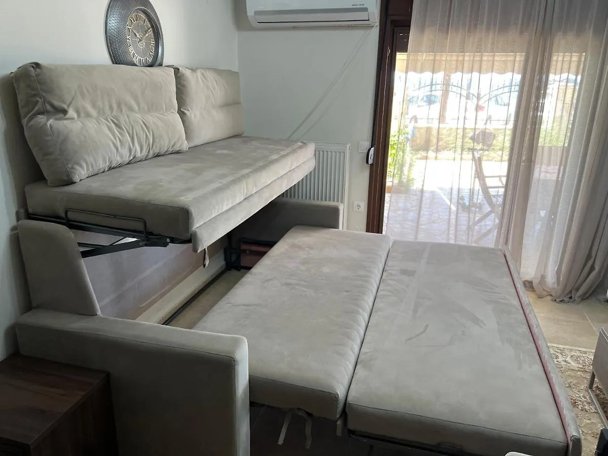 הוילה ניאה סקיוני Metaxenia'S House 101 0*,